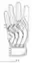 Fig. 06 - Glove