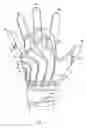 Fig. 08 - Glove