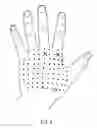 Fig. 10 - Glove