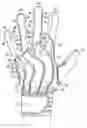 Fig. 01 - Glove