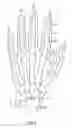 Fig. 09 - Glove
