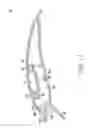 Fig. 06 - Fishing lure assembly