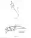 Fig. 07 - Fishing lure assembly