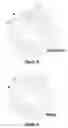 Fig. 08 - Power coupling device