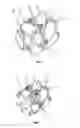 Fig. 02 - Universal transmission roller wheel