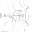 Fig. 04 - Wire-strike defence system