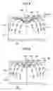 Fig. 05 - RADIATION DETECTOR AND RADIATION APPARATUS