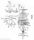 Fig. 06 - HAND HELD DEVICE AND METHODS FOR EXAMINING A PATIENT'S RETINA