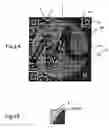 Fig. 04 - Two-dimensional code with a logo