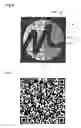 Fig. 06 - Two-dimensional code with a logo