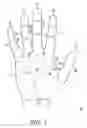 Fig. 02 - Recognition method using hand biometrics with anti-counterfeiting