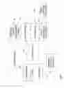 Fig. 02 - Adapting a neural network for individual style