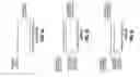 Fig. 07 - Control of multiple frequency bands for digital image