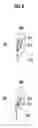 Fig. 07 - Video-audio recording apparatus and method, and video-audio reproducing apparatus and method