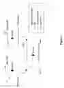 Fig. 02 - Pseudotyped baculovirus to stimulate immunogenicity against avian influenza