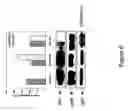 Fig. 07 - Pseudotyped baculovirus to stimulate immunogenicity against avian influenza