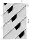 Fig. 05 - FLEXIBLE CIRCUIT