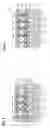 Fig. 04 - Thin film device