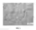 Fig. 02 - Large area, uniformly low dislocation density GaN substrate and process for making the same