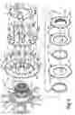 Fig. 07 - Bicycle sprocket assembly