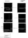 Fig. 05 - Ultrafiltration membranes and methods of making
