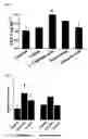 Fig. 07 - Pharmaceutical Composition for Lowering Blood Sugar Level
