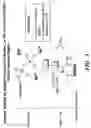 Fig. 04 - Bicyclic compositions and methods for modulating a kinase cascade