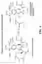Fig. 07 - Bicyclic compositions and methods for modulating a kinase cascade