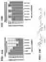 Fig. 16 - Bicyclic compositions and methods for modulating a kinase cascade