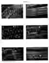 Fig. 30 - Bicyclic compositions and methods for modulating a kinase cascade