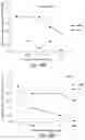 Fig. 41 - Bicyclic compositions and methods for modulating a kinase cascade