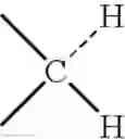 Fig. 32 - Transporter enhanced corticosteroid activity