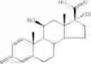 Fig. 40 - Transporter enhanced corticosteroid activity