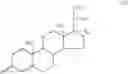 Fig. 44 - Transporter enhanced corticosteroid activity