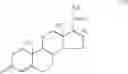 Fig. 47 - Transporter enhanced corticosteroid activity