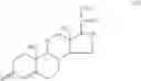 Fig. 49 - Transporter enhanced corticosteroid activity