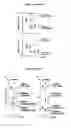 Fig. 02 - Compositions for weight management
