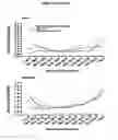 Fig. 03 - Compositions for weight management