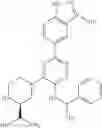 Fig. 462 - Kinase inhibitors