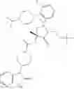 Fig. 480 - CGRP receptor antagonists