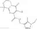 Fig. 178 - HIV integrase inhibitors