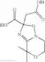 Fig. 19 - HIV integrase inhibitors
