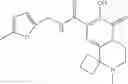 Fig. 191 - HIV integrase inhibitors