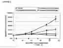 Fig. 07 - Method for treating non-Hodgkin's lymphoma