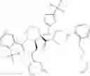 Fig. 313 - Substituted piperidines that increase P53 activity and the uses thereof