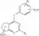 Fig. 07 - 4-arylamin-or-4-heteroarylamino-quinazolines and analogs as activators of caspases and inducers of apoptosis and the use thereof