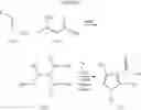 Fig. 09 - Pyrrolo- and Thiazolo-pyridine compounds, and methods of use thereof