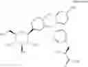 Fig. 34 - Crystal structures of SGLT2 inhibitors and processes for preparing same