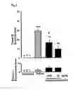 Fig. 02 - Therapeutic agent for substance dependence