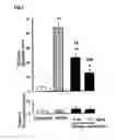 Fig. 03 - Therapeutic agent for substance dependence
